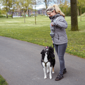 dogino® Cookie Pocket